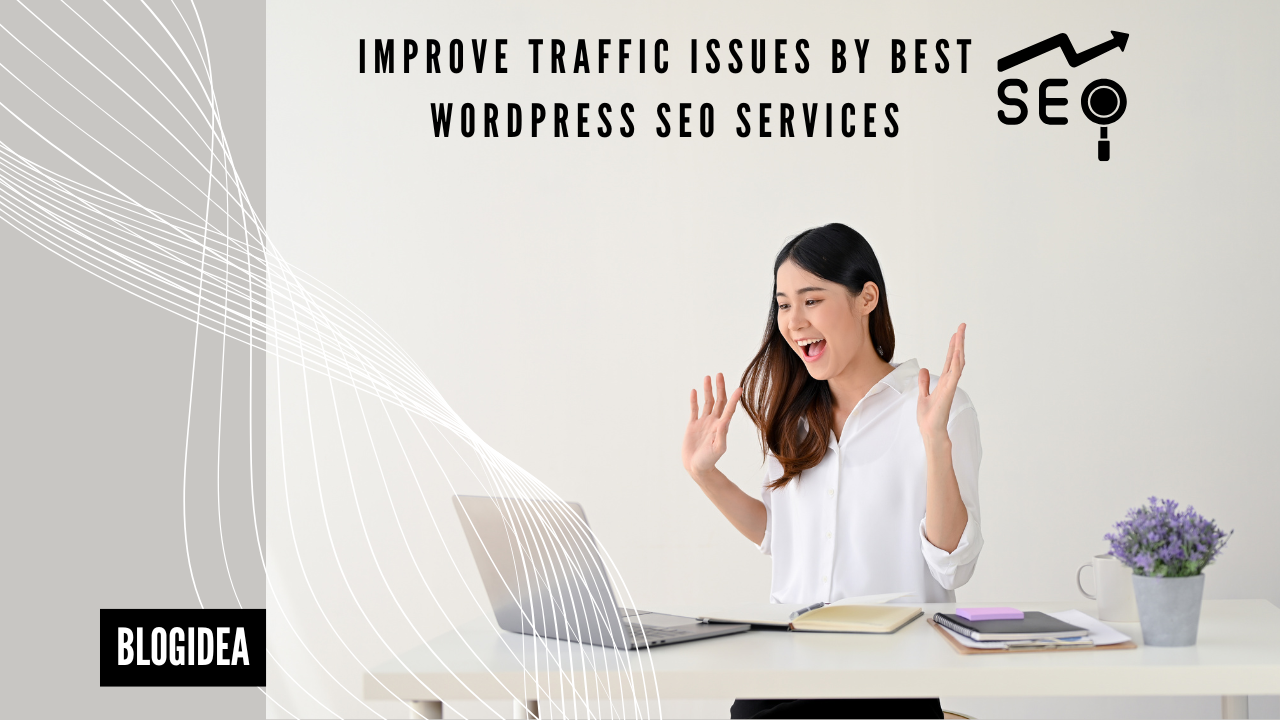 Improve Traffic Issues By Best WordPress SEO Services